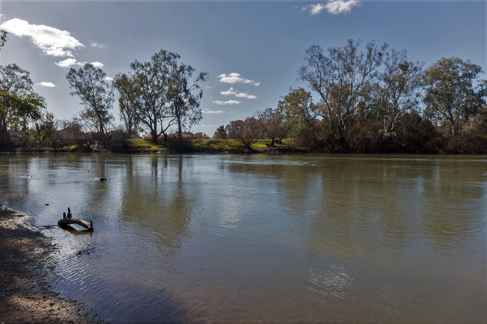 Murray River by Robert Myers
