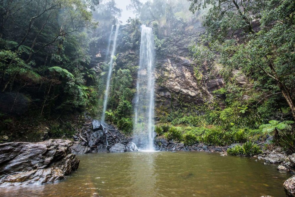 Twin Falls, Springbrook National Park