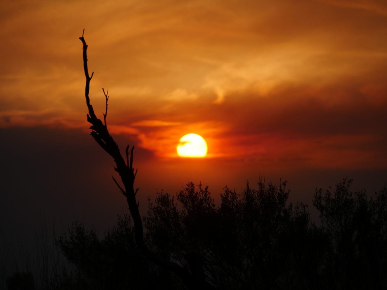 Sunrise in NT, by Max Christian