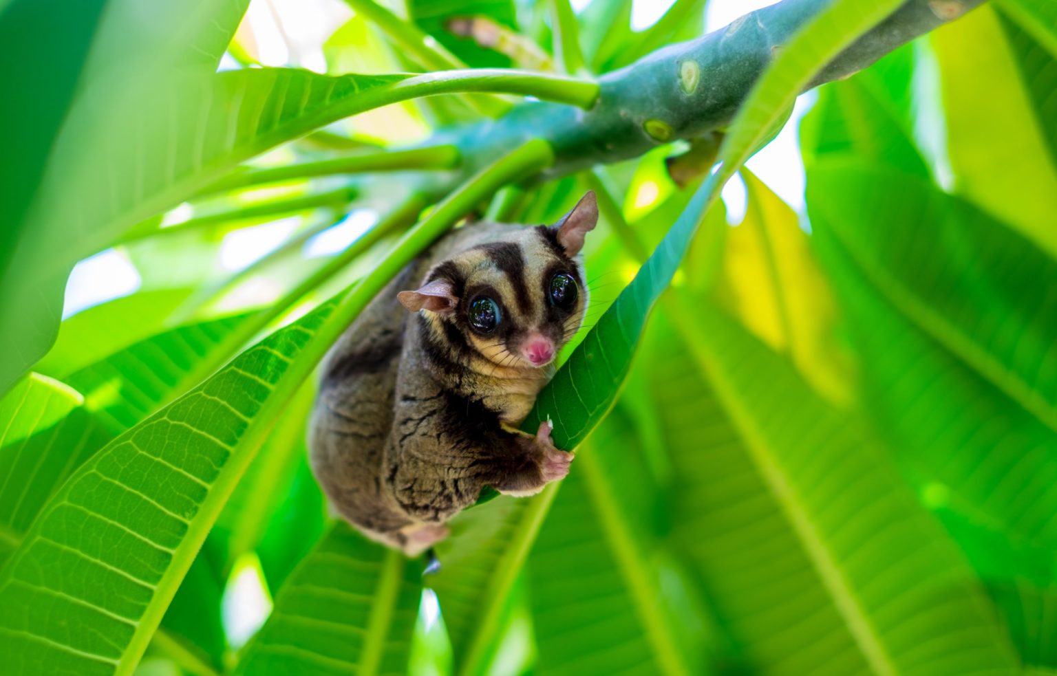 Donate To Protect Environment Using The Law Environmental Defenders