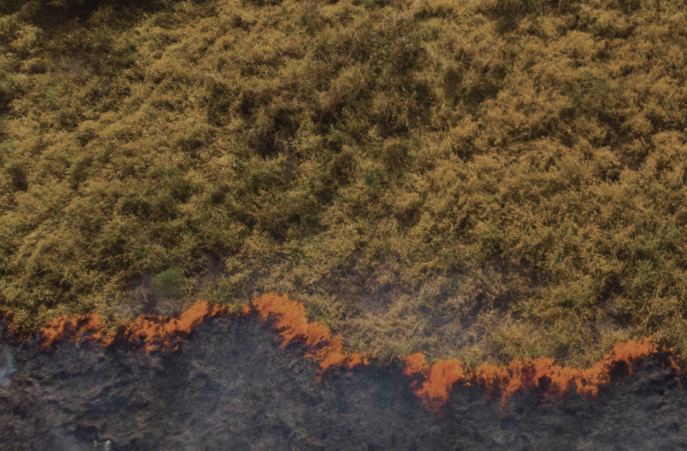 A grass fire spreads as seen from above.